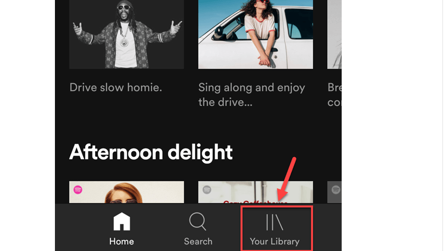 How To Download Songs from Spotify